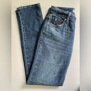 Unpublished Anthropologie Skinny Jeans